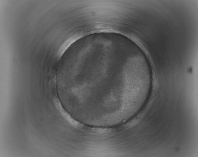 X0000111531289200908251153