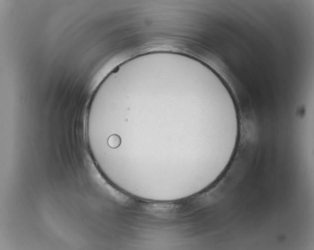 X0000111531290200908251153