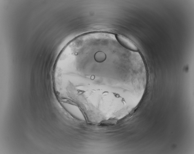 X0000111531291200908251153