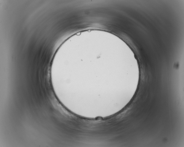 X0000111531292200908251153