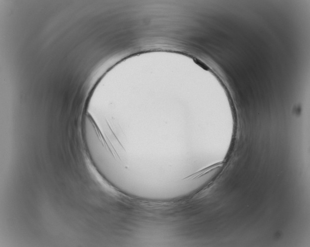 X0000111531293200908251153