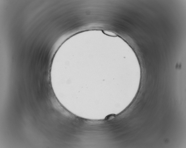 X0000111531296200908251153