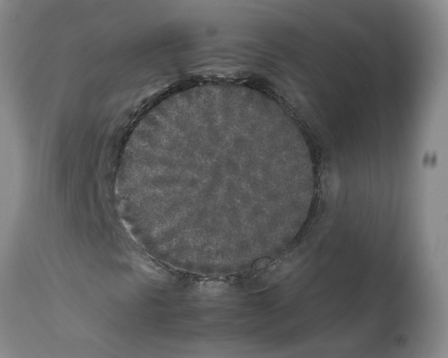 X0000111531297200908251152