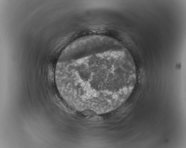 X0000111531298200908251152