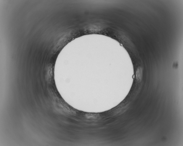 X0000111531299200908251152