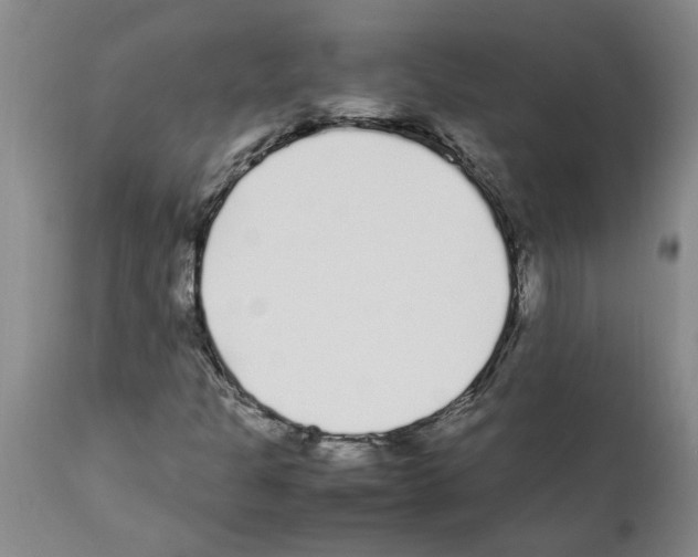 X0000111531301200908251152