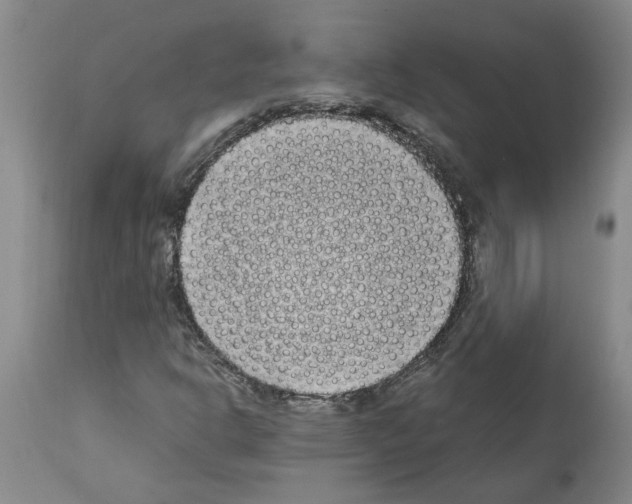 X0000111531302200908251152