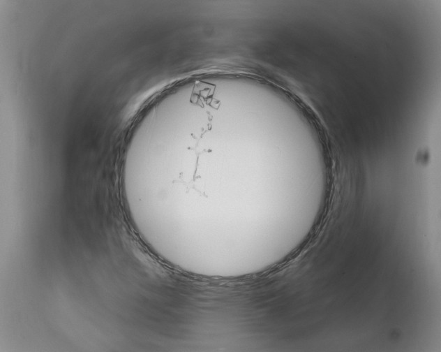 X0000111531304200908251152