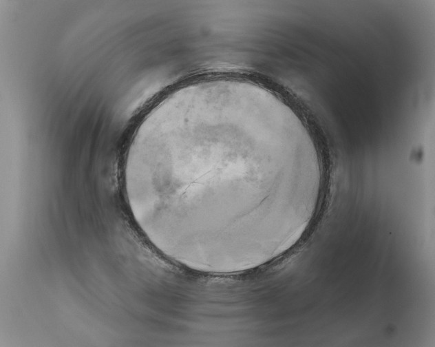 X0000111531306200908251152