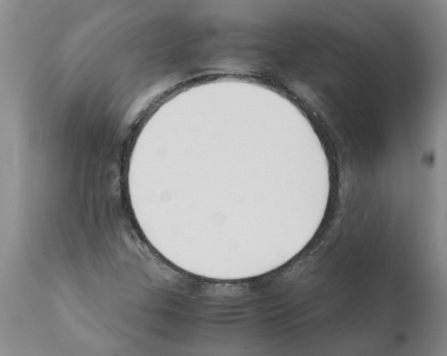 X0000111531307200908251152