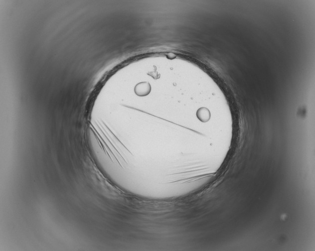 X0000111531308200908251152