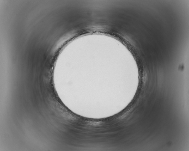 X0000111531309200908251152