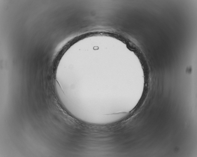 X0000111531310200908251152