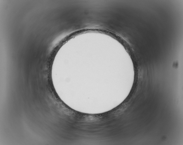 X0000111531311200908251152