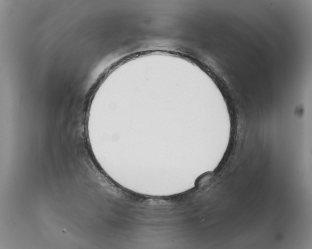 X0000111531312200908251152