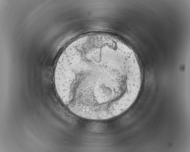 X0000111531314200908251152