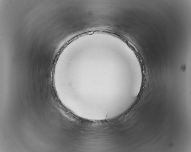 X0000111531316200908251152