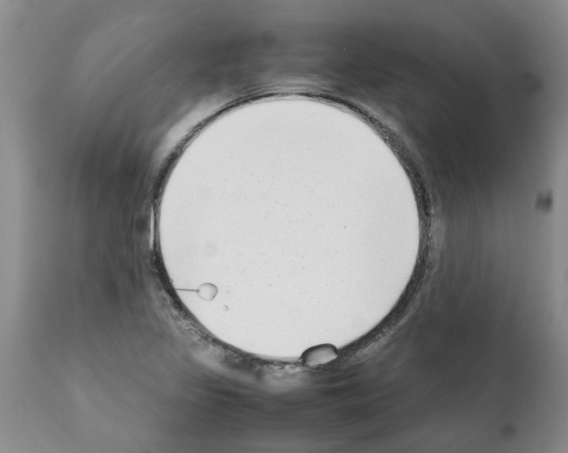 X0000111531317200908251152