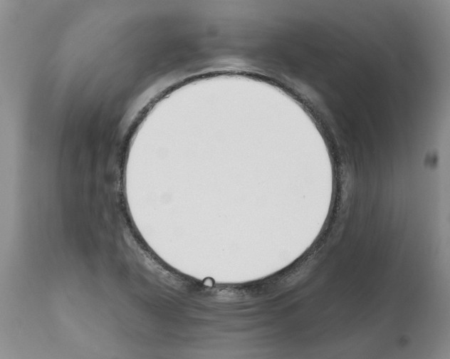 X0000111531318200908251152