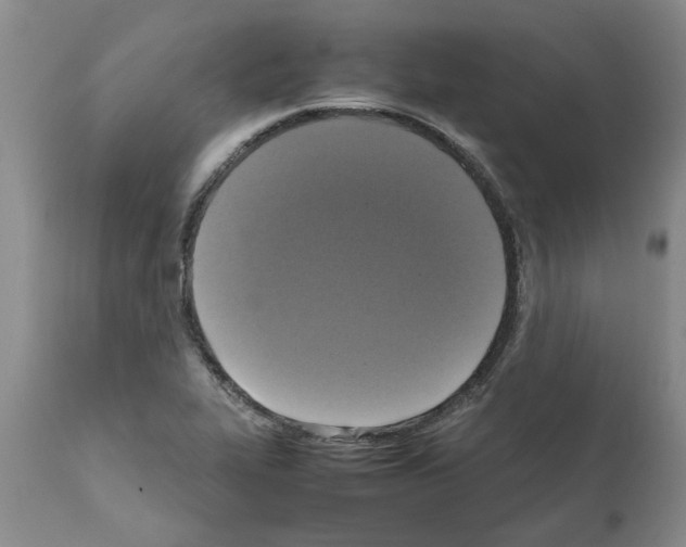 X0000111531319200908251152