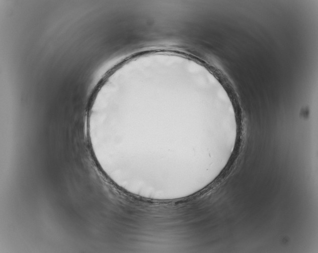 X0000111531320200908251152