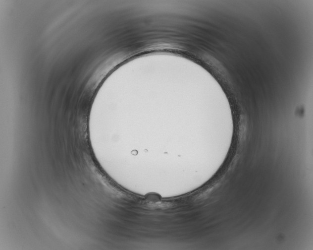 X0000111531321200908251152