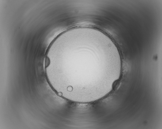 X0000111531322200908251152