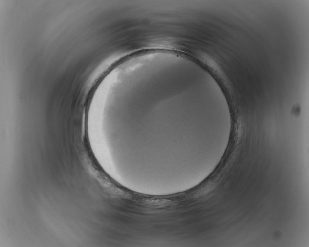 X0000111531323200908251152