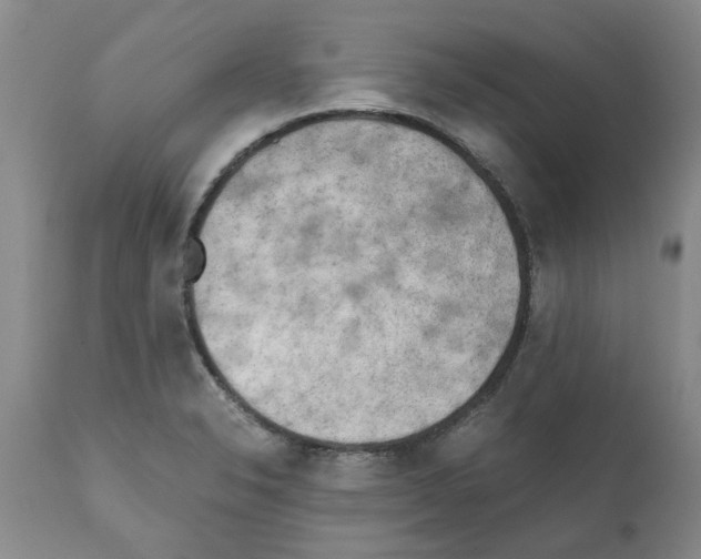 X0000111531326200908251152