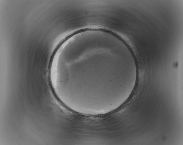 X0000111531327200908251152