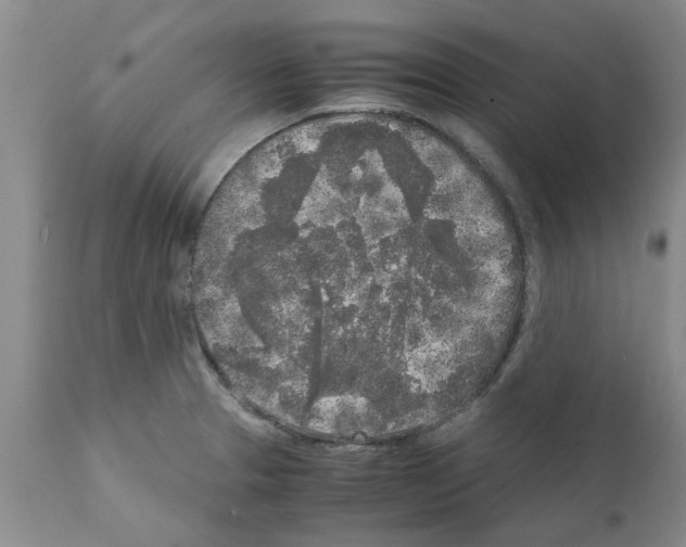 X0000111531329200908251152