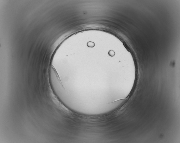 X0000111531330200908251152