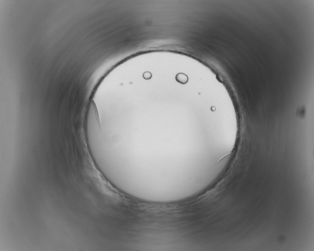 X0000111531336200908251153