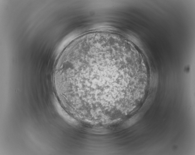 X0000111531338200908251153