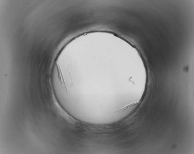 X0000111531342200908251153