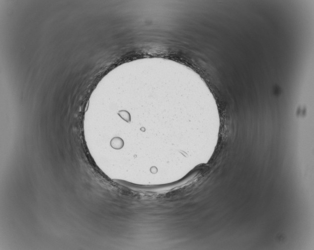 X0000111531345200908251152