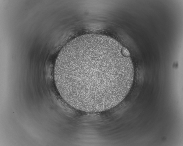 X0000111531346200908251152