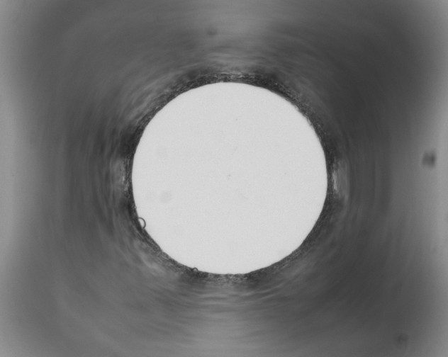 X0000111531347200908251152