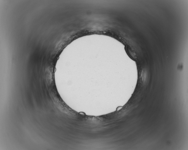 X0000111531348200908251152