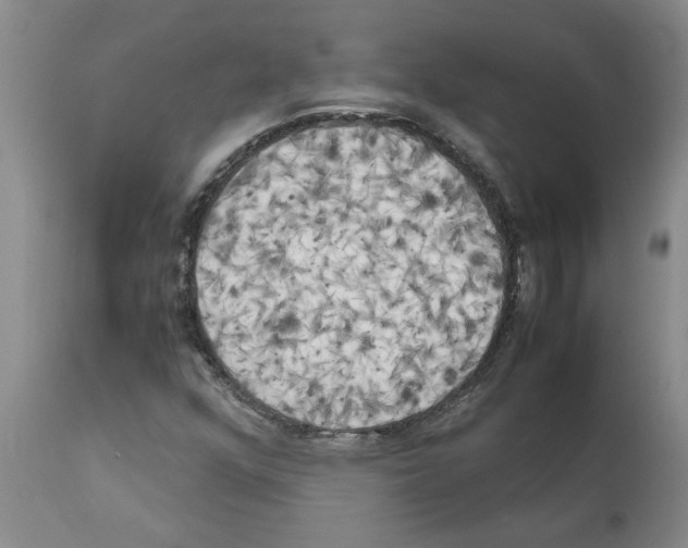 X0000111531352200908251152