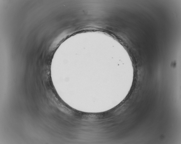 X0000111531355200908251152