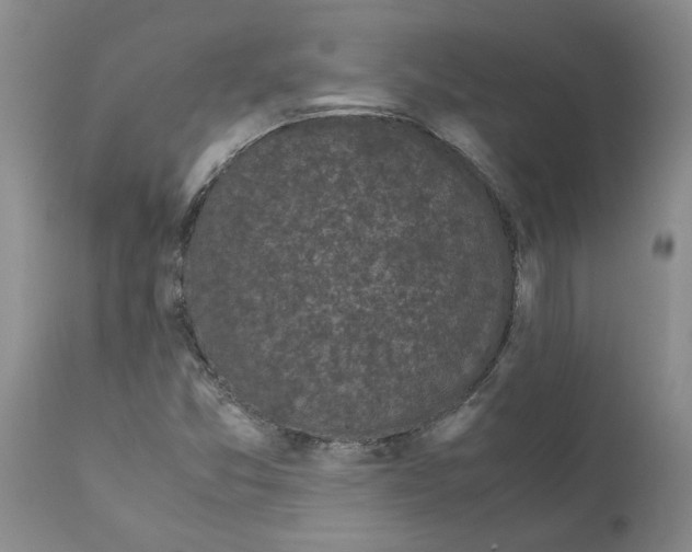 X0000111531357200908251152