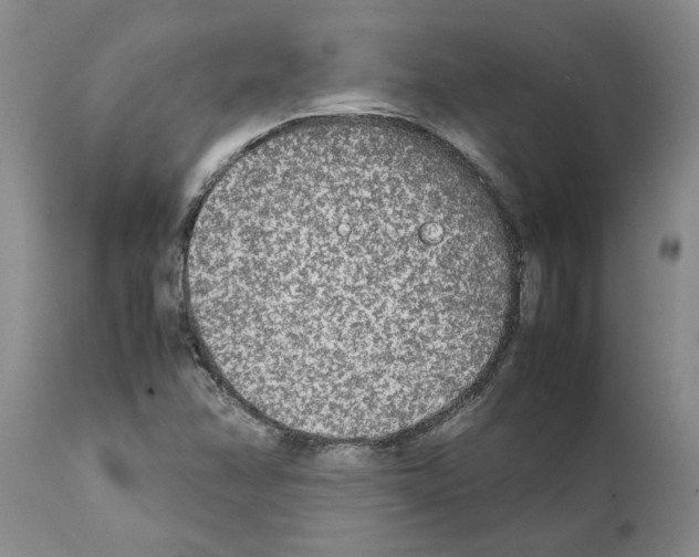 X0000111531358200908251152