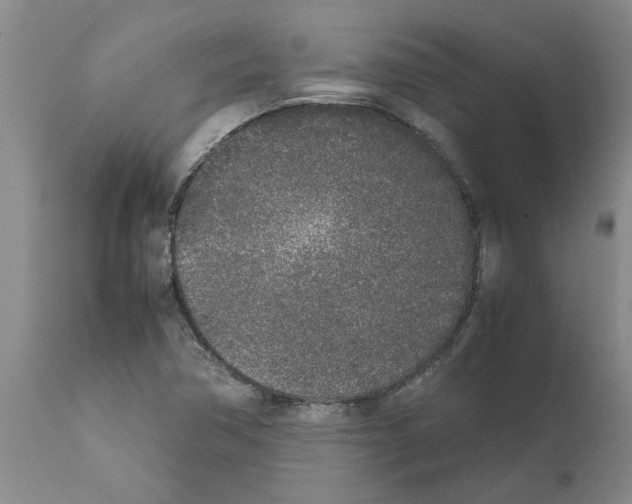 X0000111531362200908251152