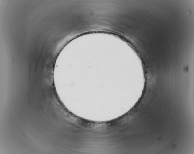 X0000111531363200908251152