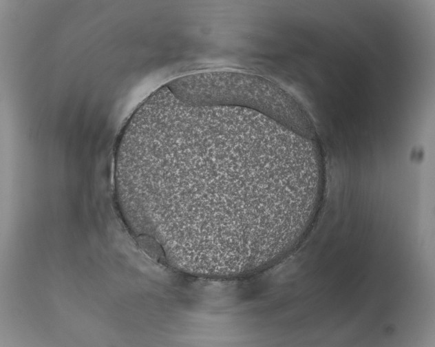 X0000111531365200908251152