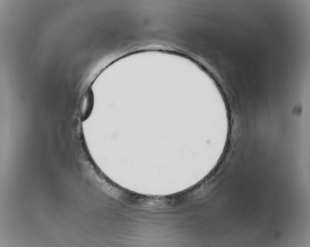 X0000111531367200908251152