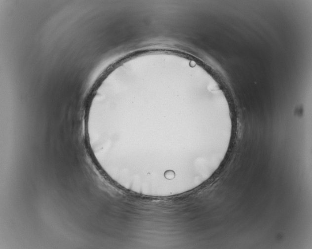 X0000111531368200908251152