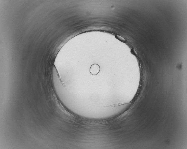 X0000111531369200908251152