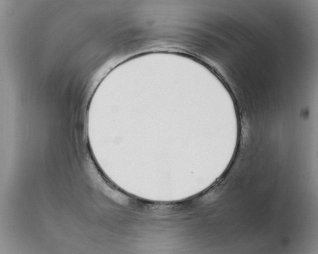 X0000111531371200908251152